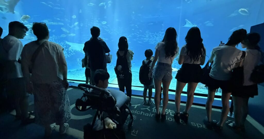 沖縄美ら海水族館の大水槽の前。車椅子マークのある観覧スペース