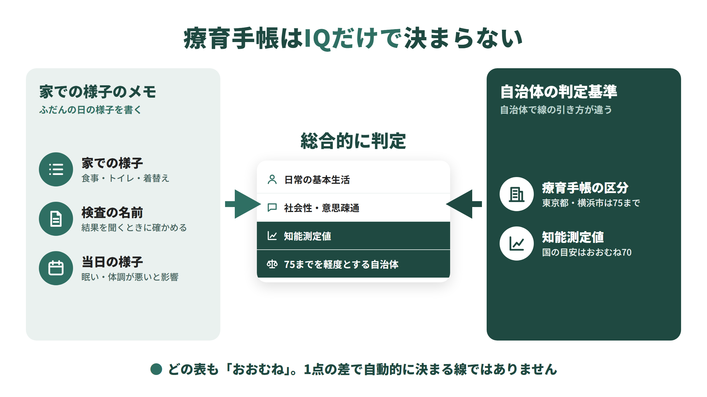 左に家族が伝えられる家での様子・検査の名前・当日の様子、右に自治体の判定基準(療育手帳の区分、知能測定値)。両方が真ん中の「総合的に判定」に集まり、日常の基本生活や社会性も合わせて見られる図